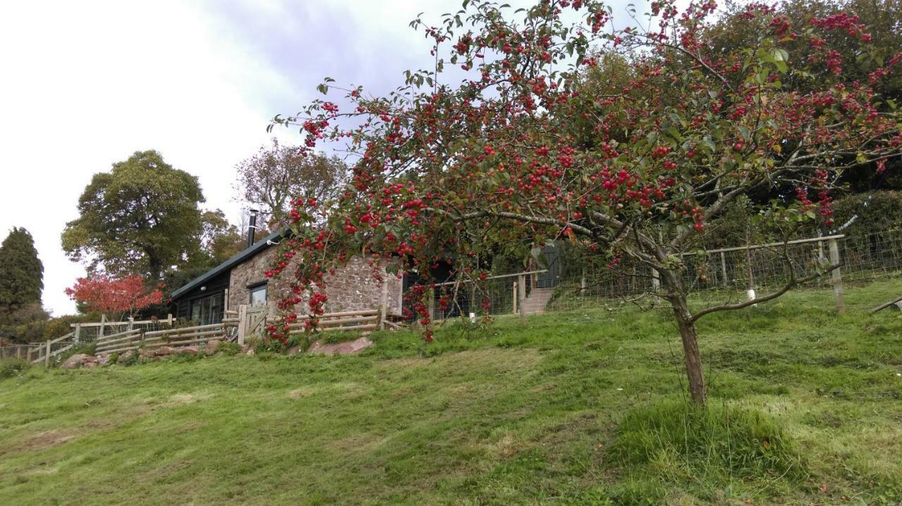 Top Barn Wales مونموث المظهر الخارجي الصورة